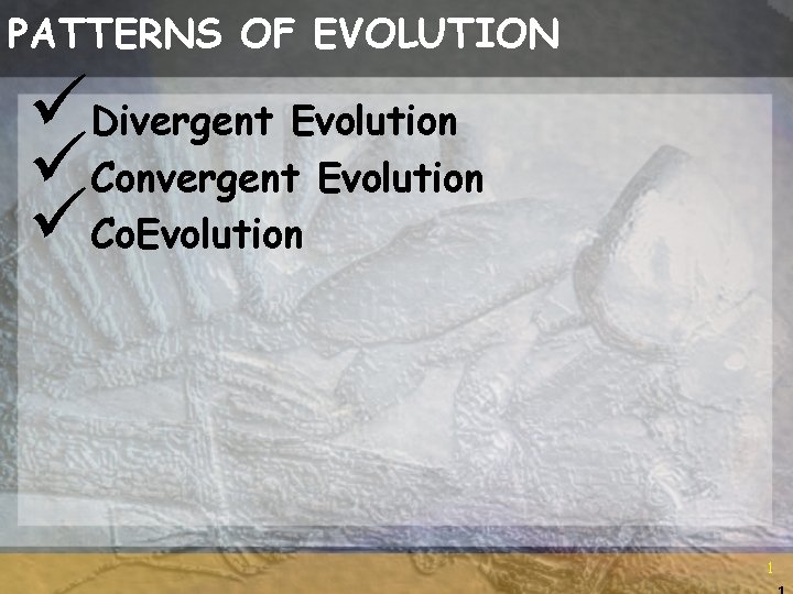 PATTERNS OF EVOLUTION üDivergent Evolution üConvergent Evolution üCo. Evolution 1 1 