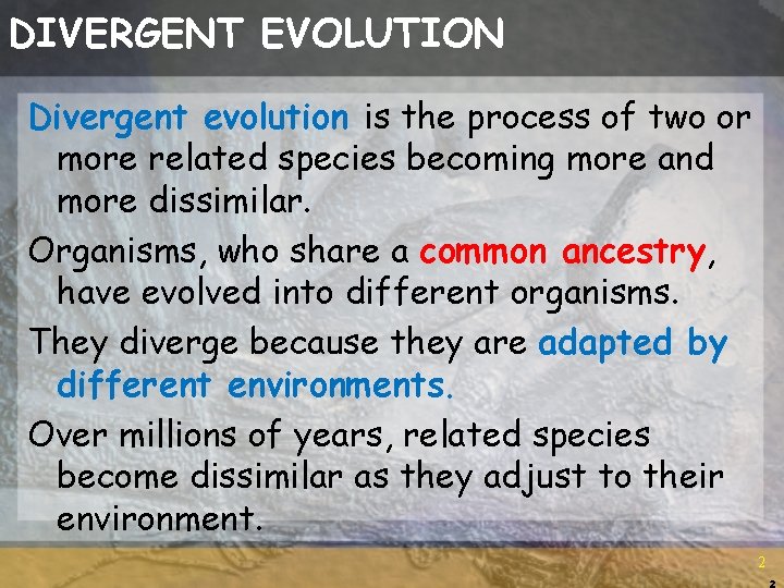 DIVERGENT EVOLUTION Divergent evolution is the process of two or more related species becoming