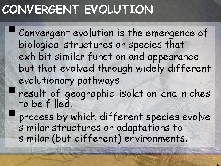 CONVERGENT EVOLUTION § Convergent evolution is the emergence of § § biological structures or