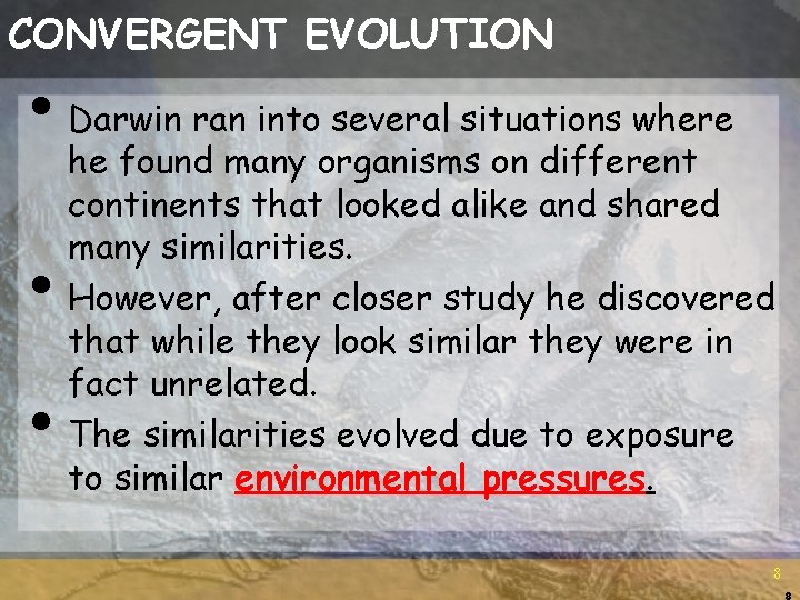 CONVERGENT EVOLUTION • Darwin ran into several situations where • • he found many