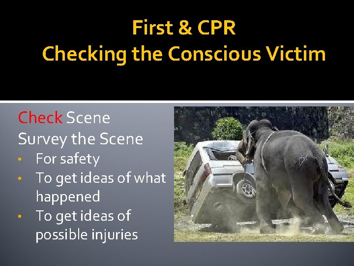 First & CPR Checking the Conscious Victim Check Scene Survey the Scene For safety