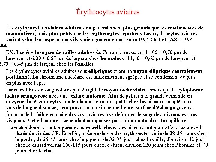 Érythrocytes aviaires Les érythrocytes aviaires adultes sont généralement plus grands que les érythrocytes de