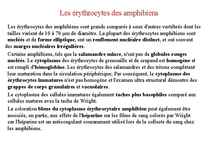Les érythrocytes des amphibiens sont grands comparés à ceux d'autres vertébrés dont les tailles