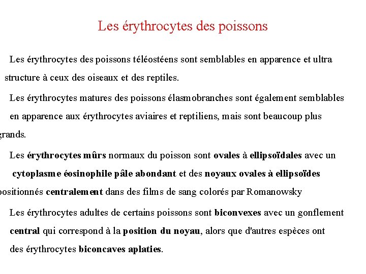 Les érythrocytes des poissons téléostéens sont semblables en apparence et ultra structure à ceux