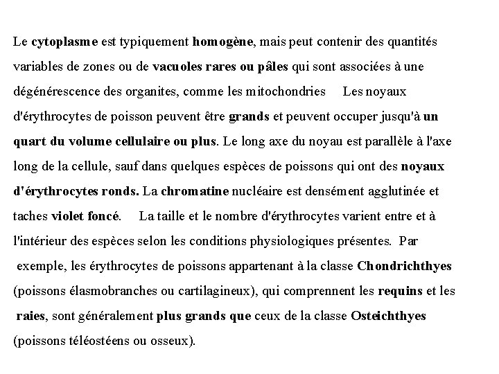 Le cytoplasme est typiquement homogène, mais peut contenir des quantités variables de zones ou