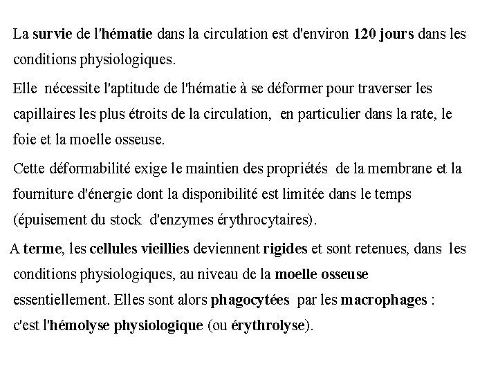 La survie de l'hématie dans la circulation est d'environ 120 jours dans les conditions
