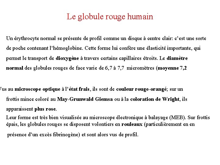 Le globule rouge humain Un érythrocyte normal se présente de profil comme un disque