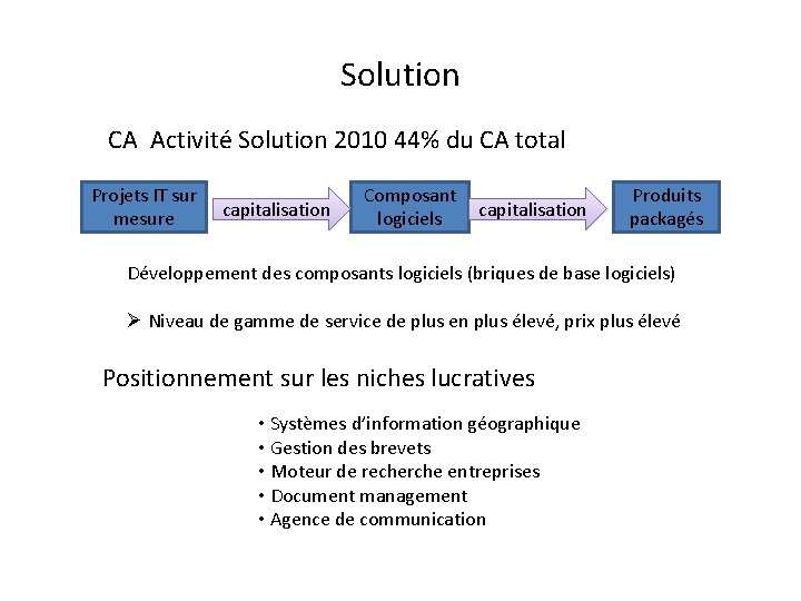 Solution CA Activité Solution 2010 44% du CA total Projets IT sur mesure capitalisation