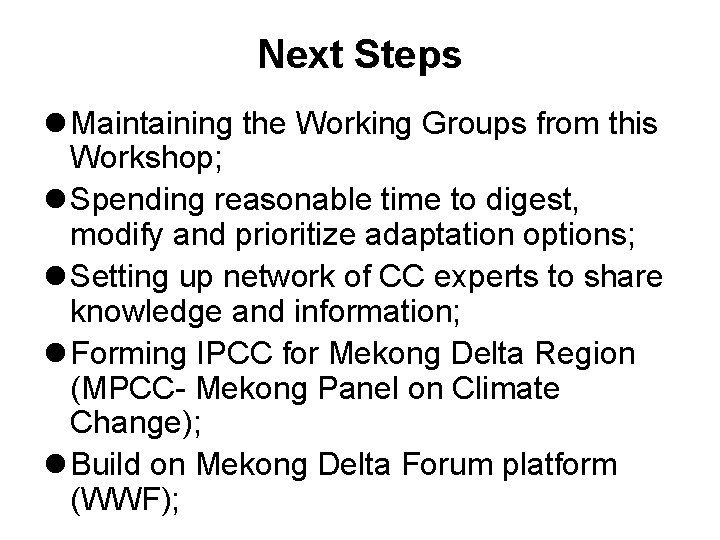 Next Steps l Maintaining the Working Groups from this Workshop; l Spending reasonable time