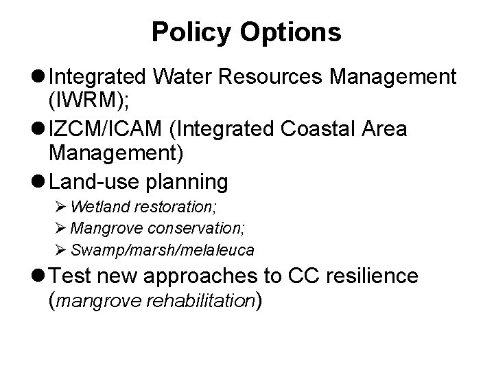 Policy Options l Integrated Water Resources Management (IWRM); l IZCM/ICAM (Integrated Coastal Area Management)