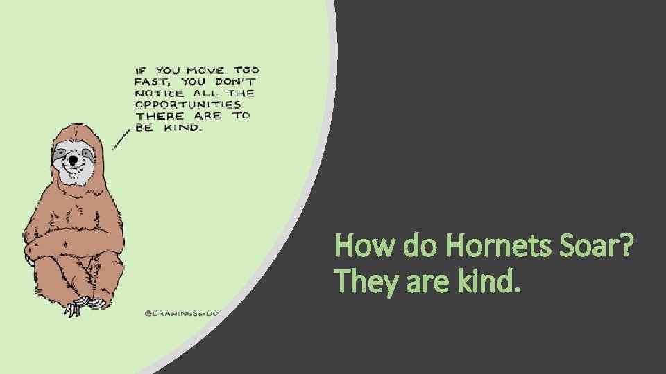 How do Hornets Soar? They are kind. 