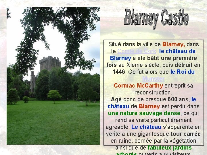 Situé dans la ville de Blarney, dans le Comté de Cork, le château de
