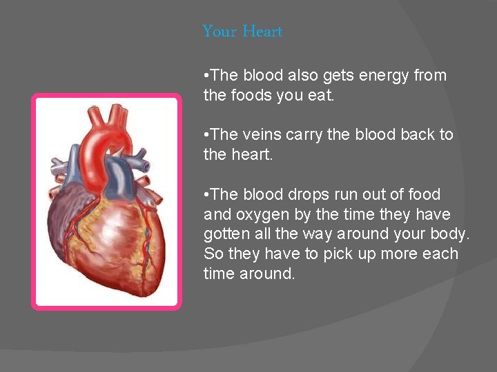 Your Heart • The blood also gets energy from the foods you eat. •