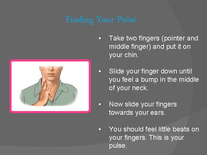 Finding Your Pulse • Take two fingers (pointer and middle finger) and put it