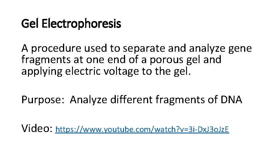 Gel Electrophoresis A procedure used to separate and analyze gene fragments at one end