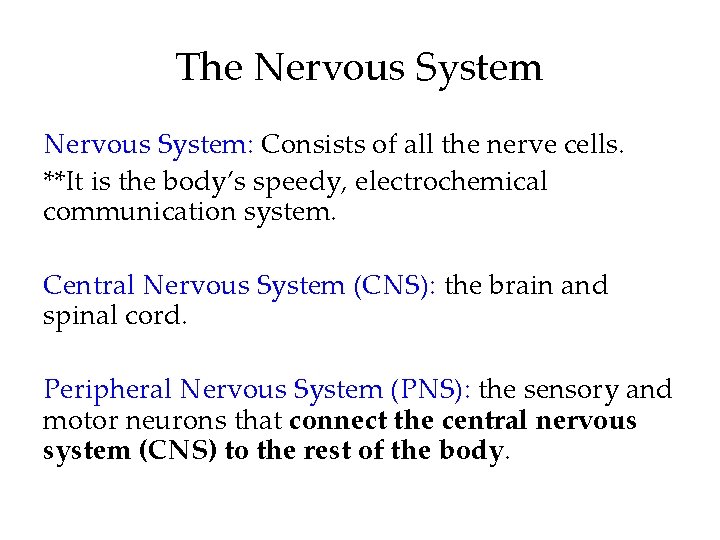 The Nervous System: Consists of all the nerve cells. **It is the body’s speedy,