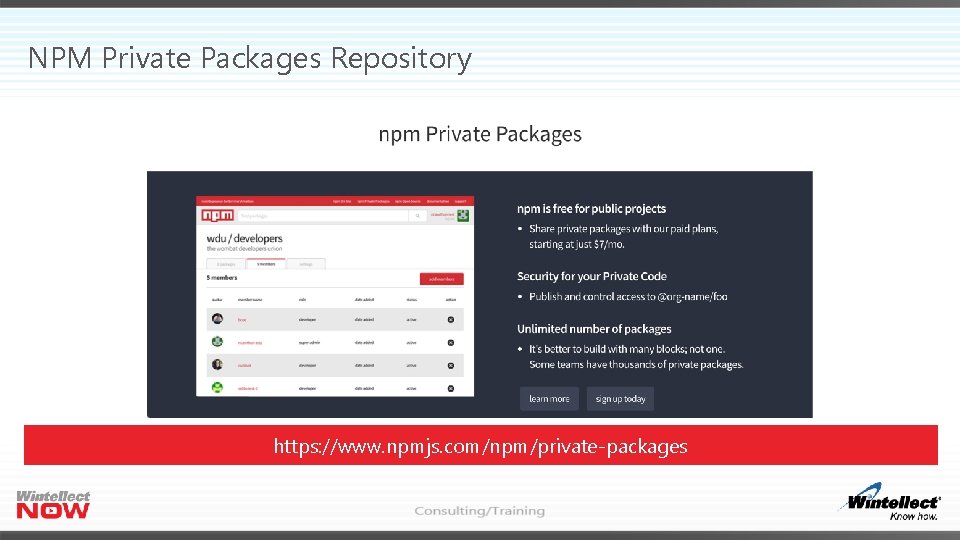 NPM Private Packages Repository https: //www. npmjs. com/npm/private-packages 