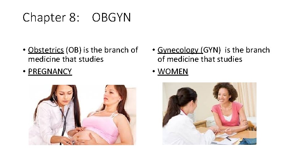Chapter 8: OBGYN • Obstetrics (OB) is the branch of medicine that studies •