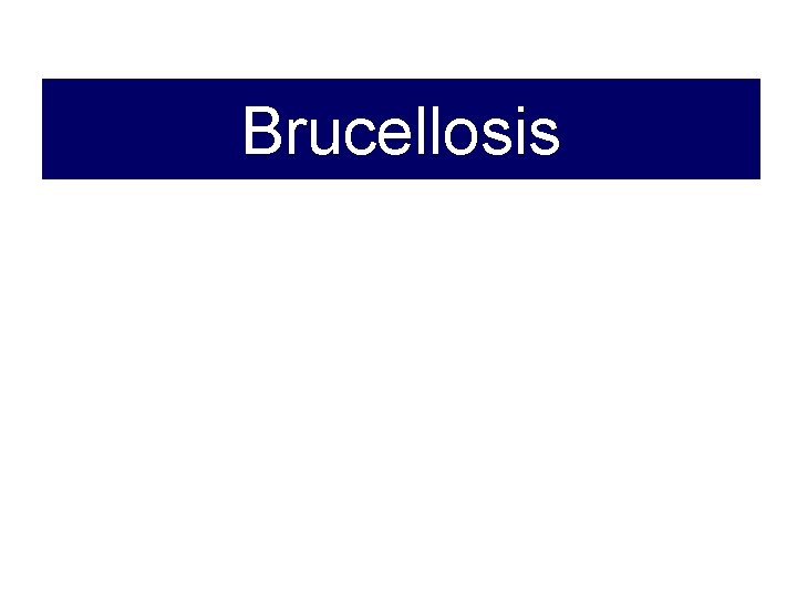 Brucellosis 