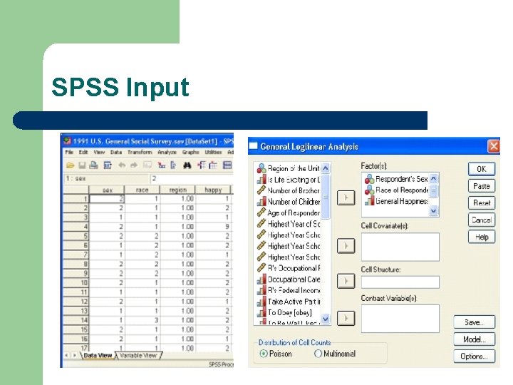 SPSS Input 