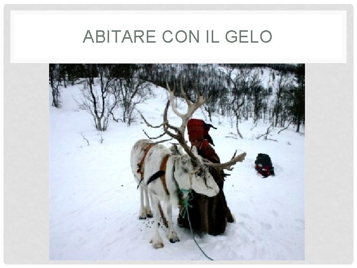 ABITARE CON IL GELO 