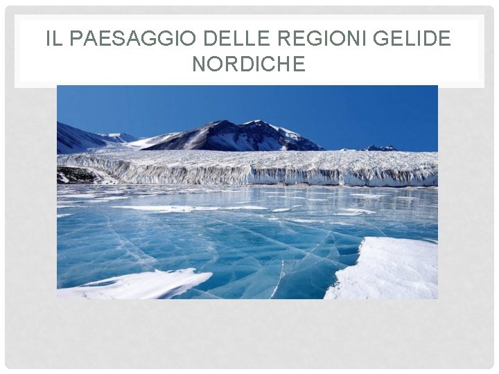 IL PAESAGGIO DELLE REGIONI GELIDE NORDICHE 