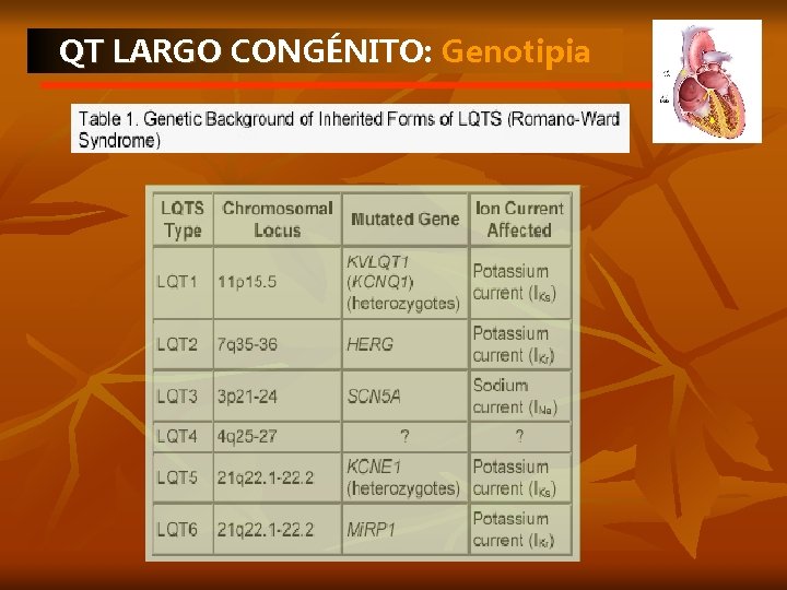 QT LARGO CONGÉNITO: Genotipia 