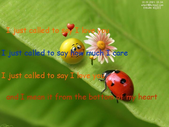 19. 09. 2021 19: 34 erkn 9@hotmail. com ERKAN BİÇİCİ I just called to