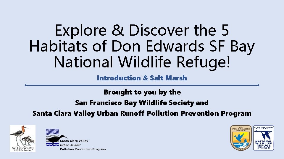 Explore & Discover the 5 Habitats of Don Edwards SF Bay National Wildlife Refuge!