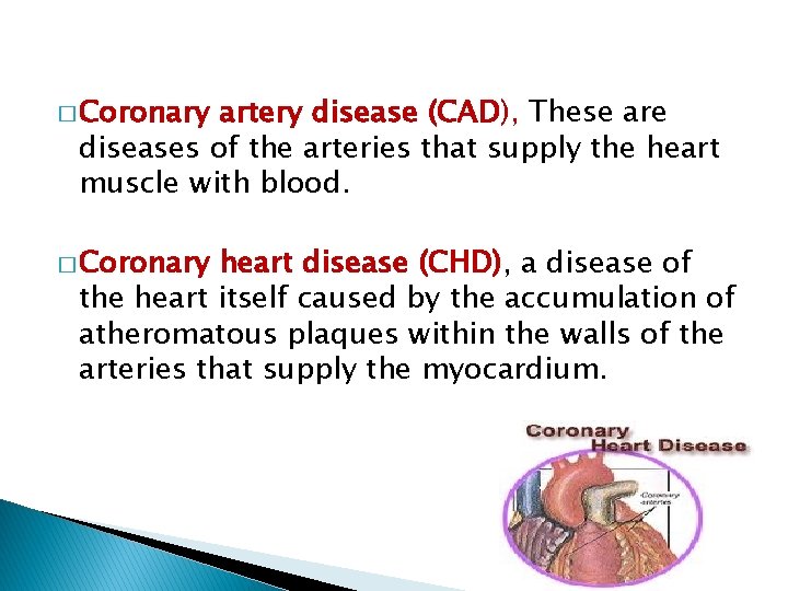 � Coronary artery disease (CAD), These are diseases of the arteries that supply the