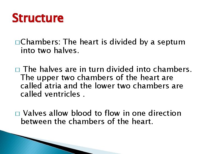 Structure � Chambers: The heart is divided by a septum into two halves. �