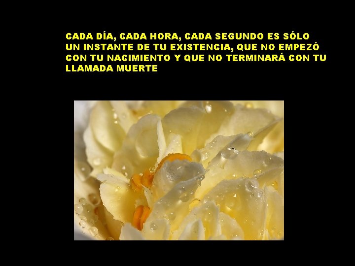 CADA DÍA, CADA HORA, CADA SEGUNDO ES SÓLO UN INSTANTE DE TU EXISTENCIA, QUE