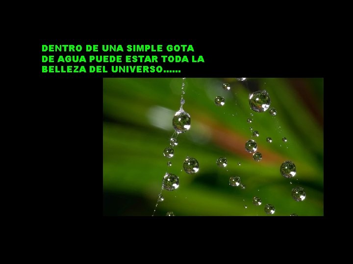 DENTRO DE UNA SIMPLE GOTA DE AGUA PUEDE ESTAR TODA LA BELLEZA DEL UNIVERSO……