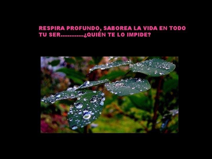 RESPIRA PROFUNDO, SABOREA LA VIDA EN TODO TU SER…………. ¿QUIÉN TE LO IMPIDE? 