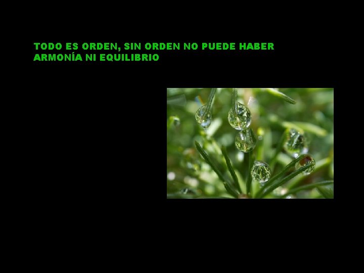 TODO ES ORDEN, SIN ORDEN NO PUEDE HABER ARMONÍA NI EQUILIBRIO 