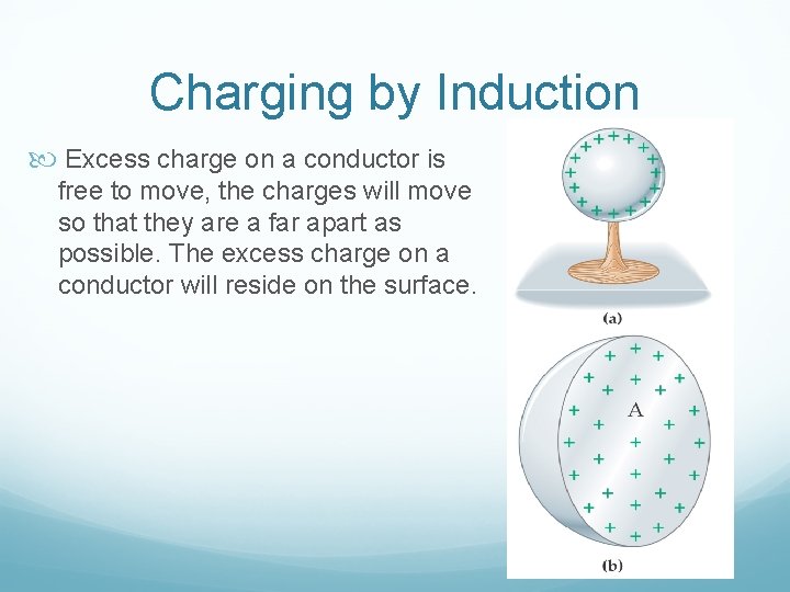 Charging by Induction Excess charge on a conductor is free to move, the charges