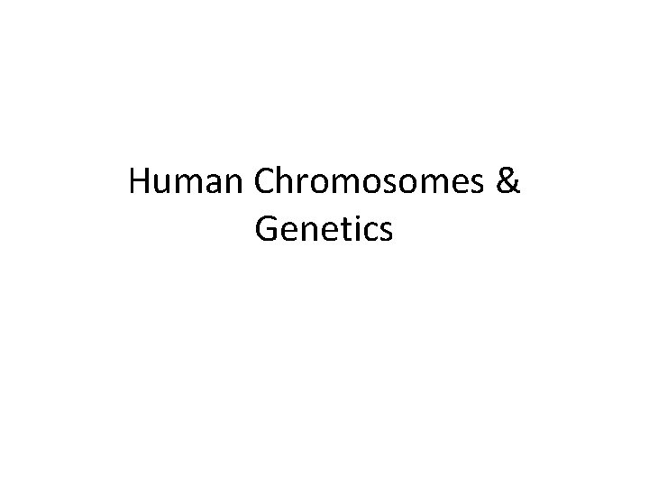 Human Chromosomes & Genetics 
