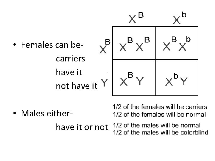  • Females can becarriers have it not have it • Males eitherhave it