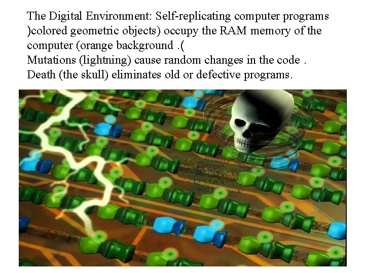 The Digital Environment: Self-replicating computer programs )colored geometric objects) occupy the RAM memory of