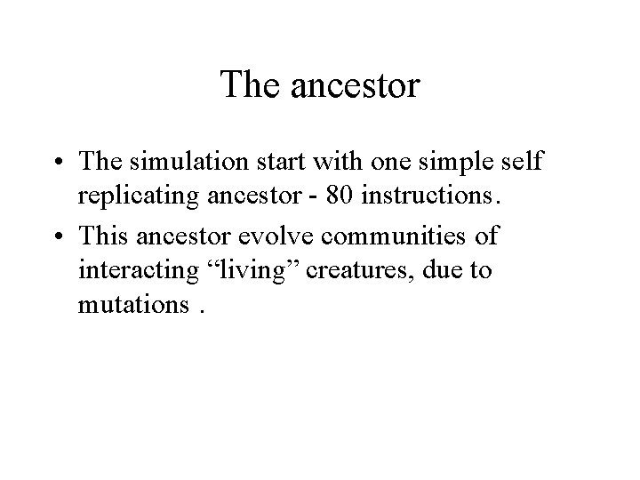 The ancestor • The simulation start with one simple self replicating ancestor - 80