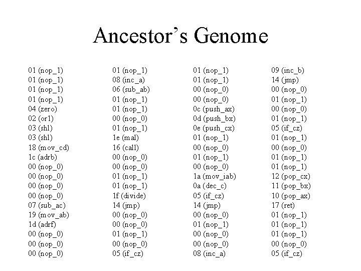 Ancestor’s Genome 01 (nop_1) 04 (zero) 02 (or 1) 03 (shl) 18 (mov_cd) 1