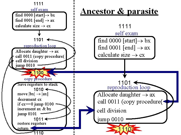 1111 self exam find 0000 [start] bx find 0001 [end] ax calculate size cx