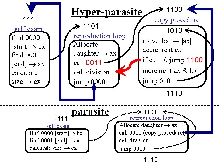 1111 self exam find 0000 ]start] bx find 0001 ]end] ax calculate size cx