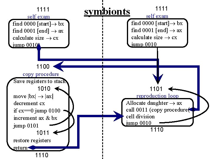 1111 self exam find 0000 [start] bx find 0001 [end] ax calculate size cx