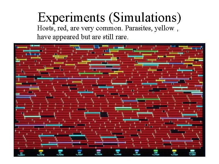 Experiments (Simulations) Hosts, red, are very common. Parasites, yellow , have appeared but are