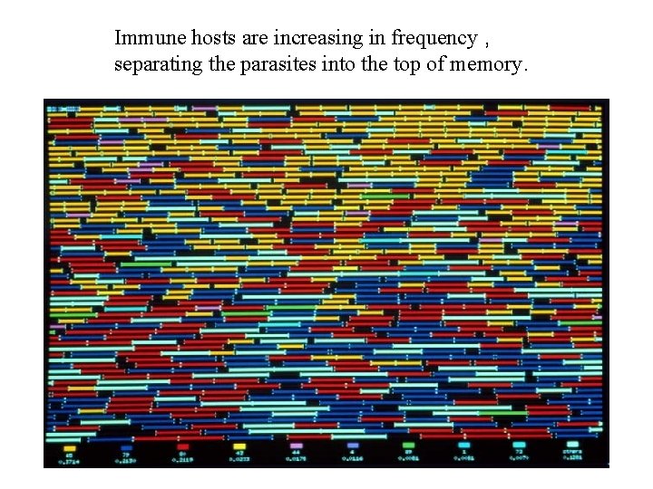 Immune hosts are increasing in frequency , separating the parasites into the top of