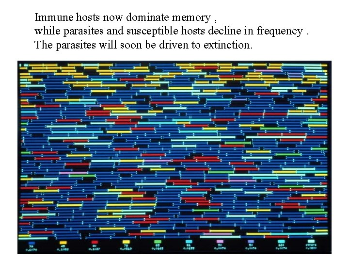 Immune hosts now dominate memory , while parasites and susceptible hosts decline in frequency.
