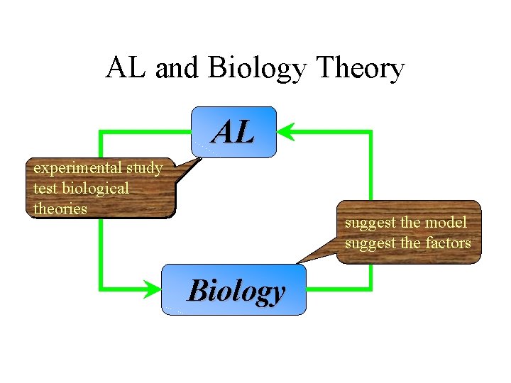 AL and Biology Theory AL experimental study test biological theories suggest the model suggest