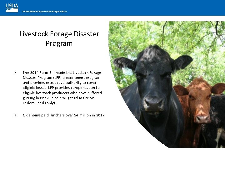 Livestock Forage Disaster Program • The 2014 Farm Bill made the Livestock Forage Disaster
