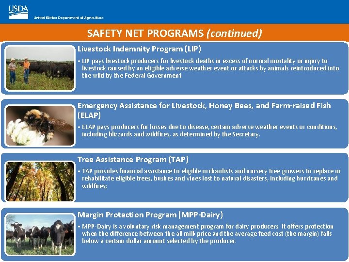 SAFETY NET PROGRAMS (continued) Livestock Indemnity Program (LIP) • LIP pays livestock producers for